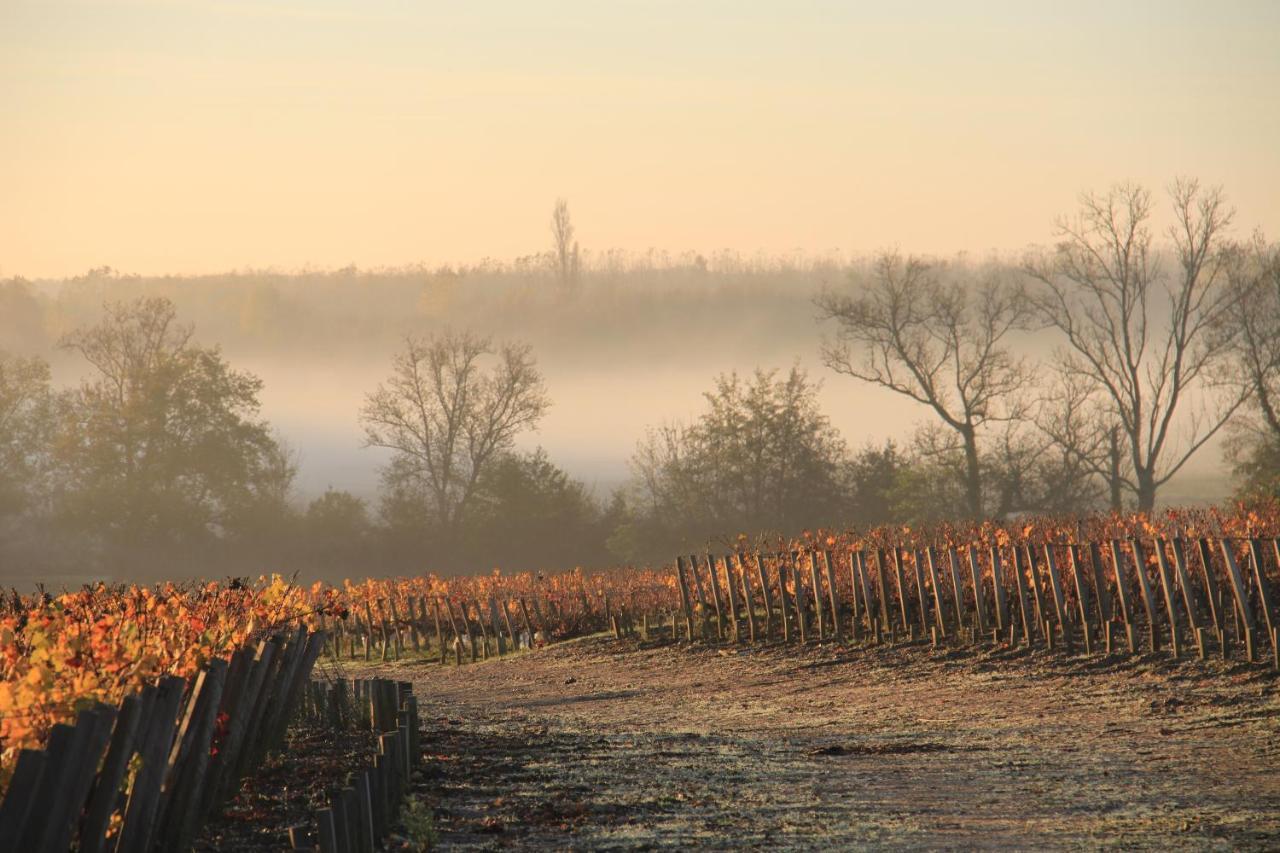 Chasse-Spleen Les Chambres Moulis-en-Medoc Bagian luar foto